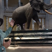 追寻幽灵大象 Ghost Elephants