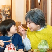 前科搜研的主妇 元科捜研の主婦