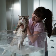 九条命 Nine Lives