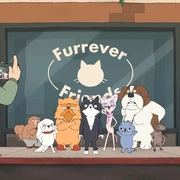 小猫凯文 Kevin