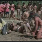 亚马逊探宝 The Treasure of the Amazon