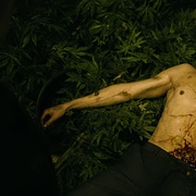 点击查看图片 哈里·布朗 Harry Brown