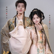 点击查看图片 贤婿之憨婿