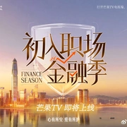 初入职场·金融季