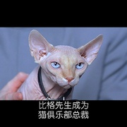 王牌大贱谍 Austin Powers: International Man of Mystery