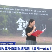 金鸡一朵云