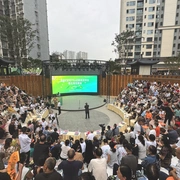 金鸡一朵云