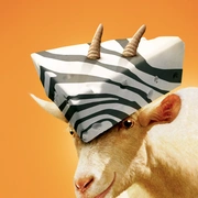 赛场大反攻 Racing Stripes