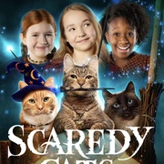 点击查看图片 胆小猫 第一季 第一季 Scaredy Cats Season 1