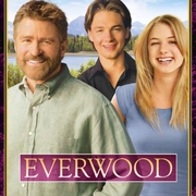 点击查看图片 雪山镇 第四季 Everwood Season 4