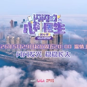 闪闪的儿科医生 第四季