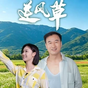 逆风草
