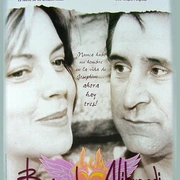 寻找阿拉布兰蒂 Looking for Alibrandi