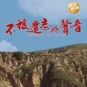 不被遗忘的声音
