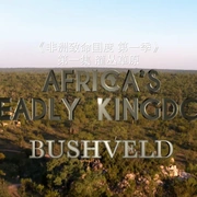 非洲致命国度 Africa's Deadly Kingdom