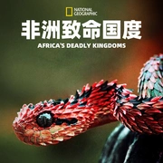 非洲致命国度 Africa's Deadly Kingdom