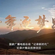 十年逐梦路