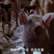 小猪宝贝2：小猪进城 Babe: Pig in the City