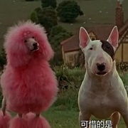 小猪宝贝2：小猪进城 Babe: Pig in the City
