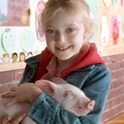 夏洛特的网 Charlotte's Web