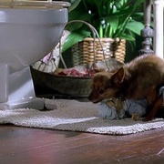 拜见岳父大人2 Meet the Fockers