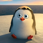 点击查看图片 马达加斯加的企鹅 Penguins of Madagascar