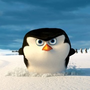 点击查看图片 马达加斯加的企鹅 Penguins of Madagascar