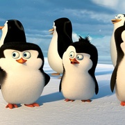 点击查看图片 马达加斯加的企鹅 Penguins of Madagascar