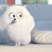 爱宠大机密 The Secret Life of Pets