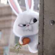 爱宠大机密 The Secret Life of Pets