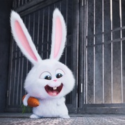 爱宠大机密 The Secret Life of Pets
