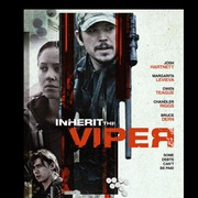 继任蝰蛇 Inherit the Viper