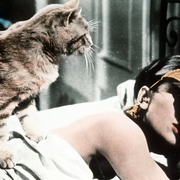 点击查看图片 蒂凡尼的早餐 Breakfast at Tiffany's