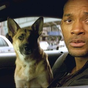 点击查看图片 我是传奇 I Am Legend
