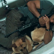 点击查看图片 我是传奇 I Am Legend