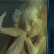 活鬼胎 เฮี้ยน The Mother