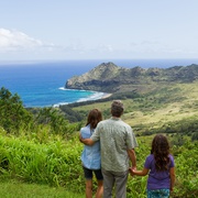 后裔 The Descendants