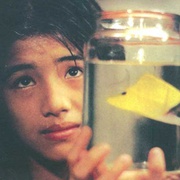 热带鱼 熱帶魚