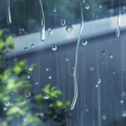 言叶之庭 言の葉の庭