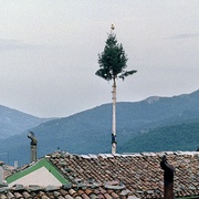 四次 Le quattro volte