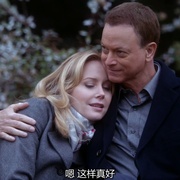 犯罪现场调查：纽约 第九季 CSI: NY Season 9