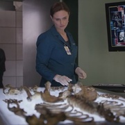 识骨寻踪 第八季 Bones Season 8