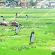 企鹅公路 ペンギン・ハイウェイ