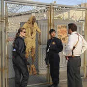 识骨寻踪 第一季 Bones Season 1