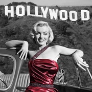 愿嫁金龟婿 How to Marry a Millionaire