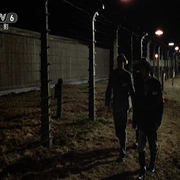 无敌男儿 Triumph of the Spirit
