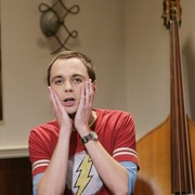 生活大爆炸  第一季 The Big Bang Theory Season 1