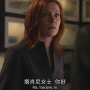 傲骨贤妻 第一季 The Good Wife Season 1