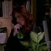 点击查看图片 威尔和格蕾丝 第六季 Will & Grace Season 6