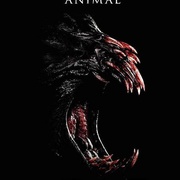 林中野兽 Animal